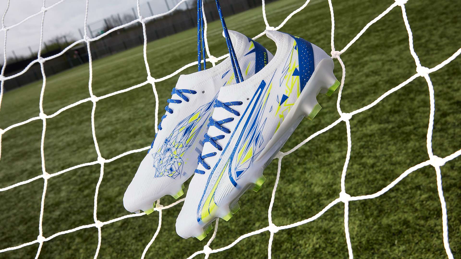 不仅履行了 不仅履行了